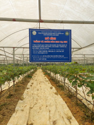 Chuyển mạnh tư duy từ sản xuất Nn sang tư duy phát triển kinh tế nông nghiệp