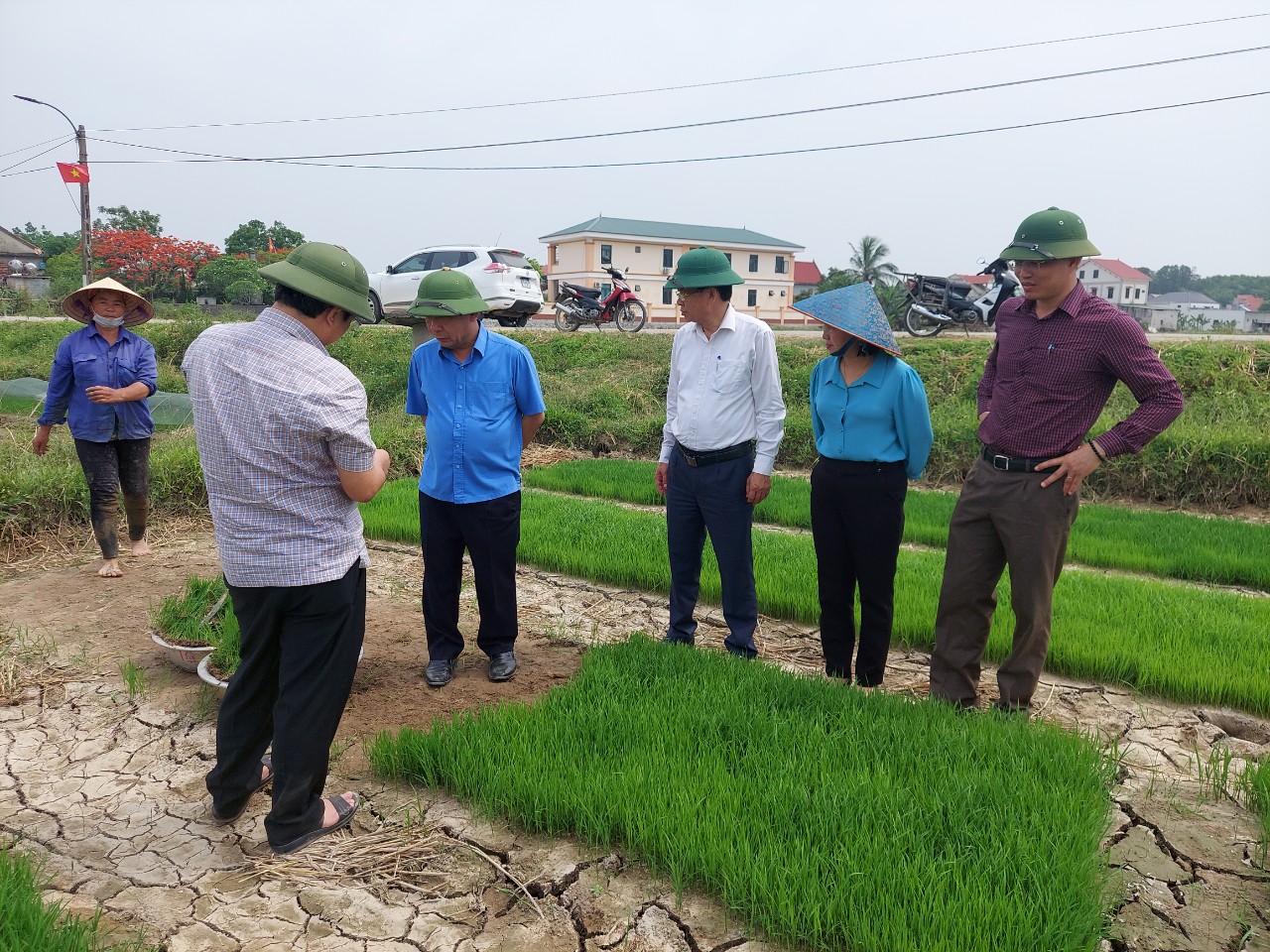 Lãnh đạo tỉnh kiểm tra tiến độ thu hoạch lúa xuân và sản xuất Hè thu 2023