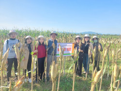 Phòng trừ sâu keo mùa thu hại Ngô