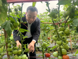 UBND Tỉnh Nghệ An làm việc với Công ty Cổ phần Nafoods Group